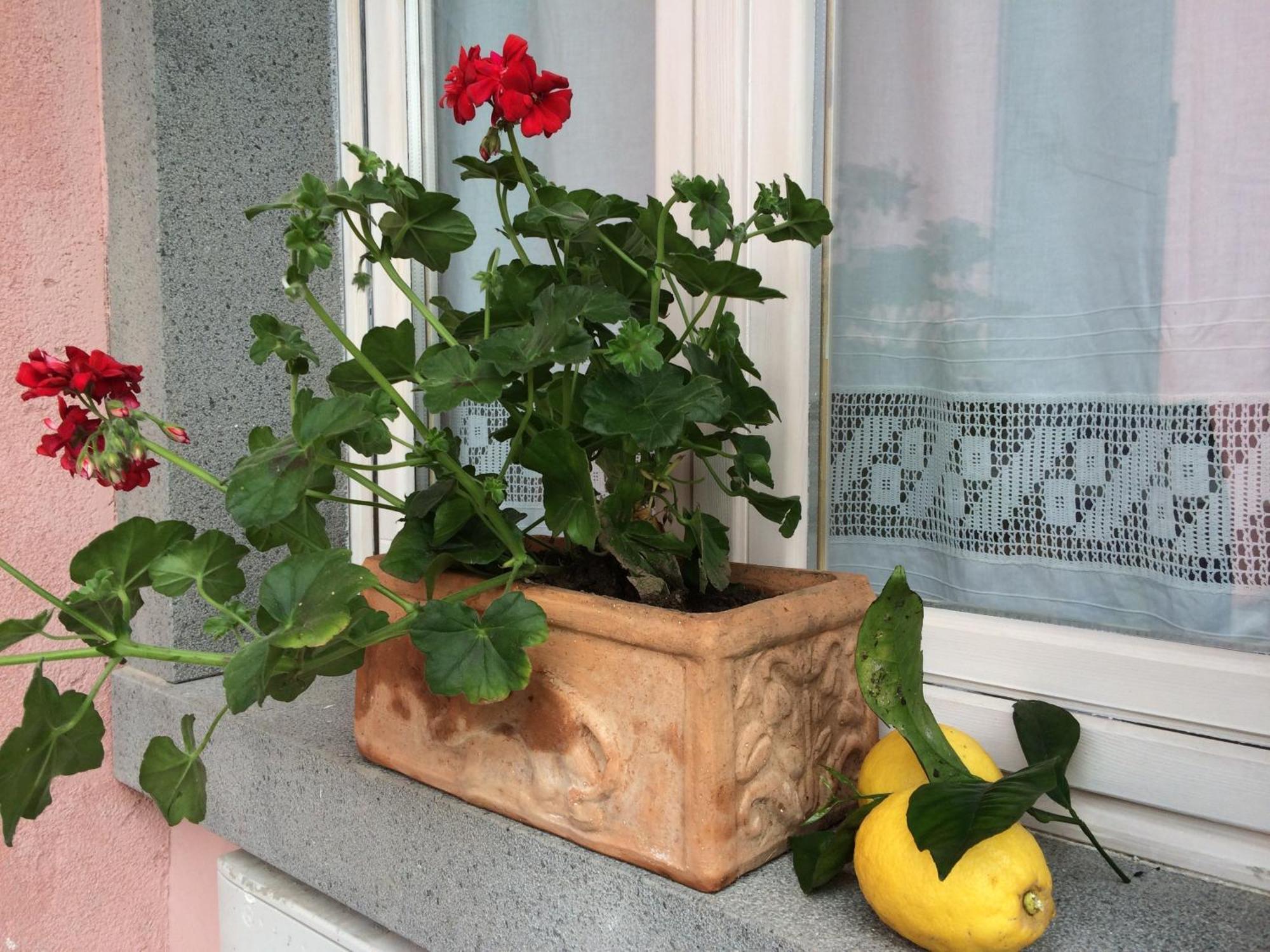 Il Giardino Segreto B&B Trappitello Esterno foto